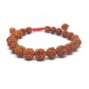 Pulsera Mala Semillas de Rudraksha