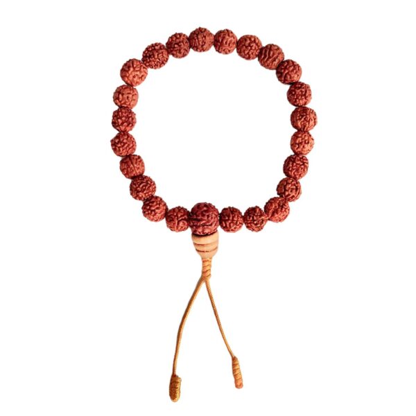 Pulsera Mala Semillas de Rudraksha - Imagen 3