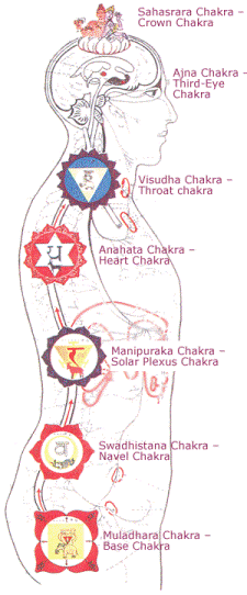 Imagen que representa la ubicación de los chakras en el cuerpo.