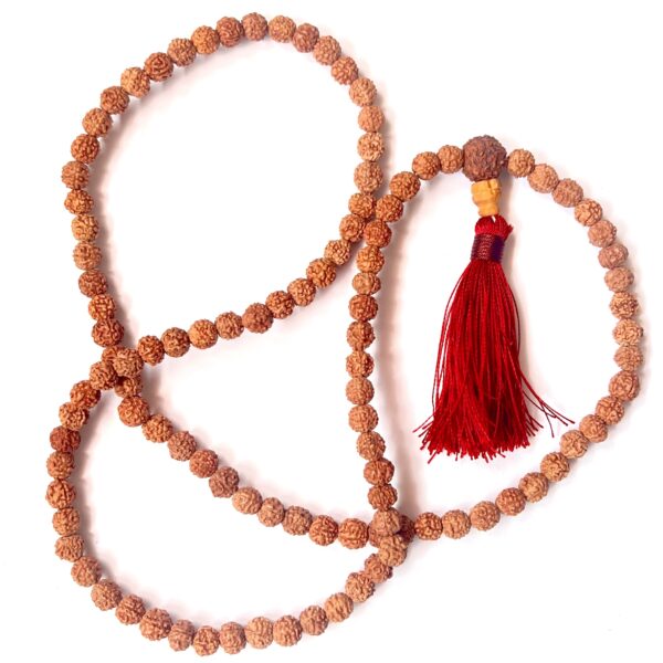 Japa Mala Semillas de Rudraksha - 7mm en fondo blanco