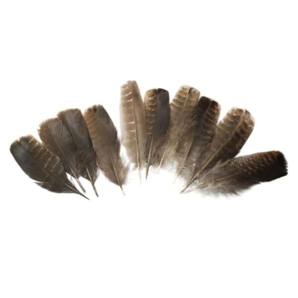 Pluma ceremonial natural de pavo de 10-15 cm, ideal para rituales de limpieza energética, sahumerios y prácticas espirituales. Simboliza conexión, ligereza y protección. 🌿