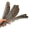 Pluma Ceremonial Natural de Pavo 25-30 cm X 10 PZS - Imagen 2