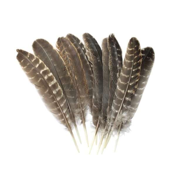 Pluma ceremonial natural de pavo de 25-30 cm, ideal para rituales de limpieza energética, sahumerios y prácticas espirituales. Simboliza conexión, ligereza y protección.